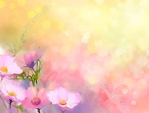Oil painting nature grass flowers. Hand paint close up pink cosmos flower