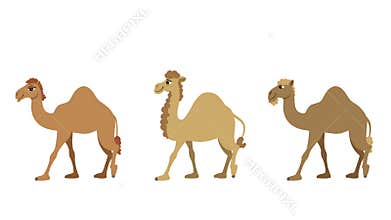 Three Wise Men Cycle
