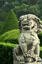 Chinese Lion