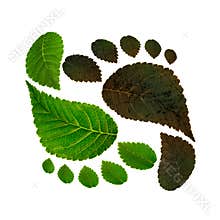 Sustainability of ecology against environmental pollution