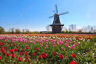 Wooden Windmill in Holland Michigan