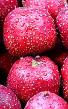Fresh hawthorn.