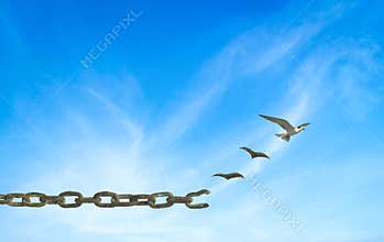 Sky Scene With Birds Escaping From Rusted Chain Symbol Of Freedom