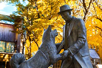 Hachiko with Dr. Hidesaburo Ueno statue at Tokyo University