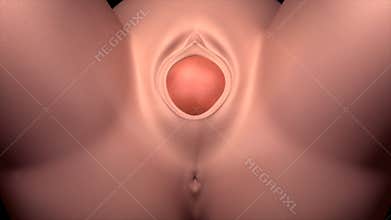 Normal labor and vaginal birth