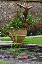Colourful Plants in Large Terracotta Container by Pretty Pond, Tintinhull Garden, Somerset, England, UK