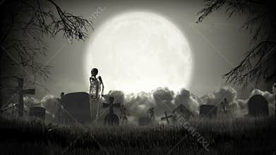 Dark graveyard. Halloween time.