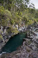 View of Vicente Perez Rosales National Park - Chile