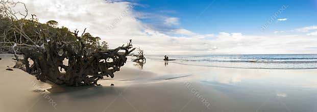 180 degree panorama of wild beach