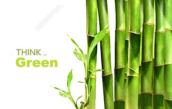 Bamboo shoots stacked on white