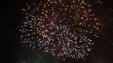 Firework on the open sky at night