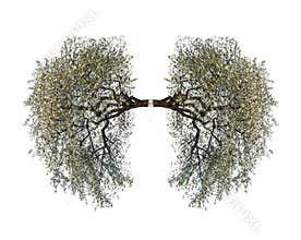 Tree lungs