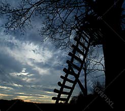 Wooden ladder