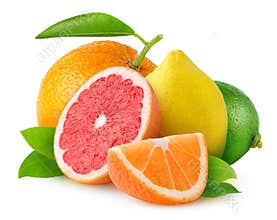 Isolated citrus fruits