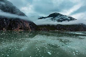 Cloudy Day in the Endicott Arm Fjord