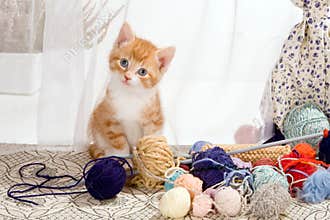 Caught with wool