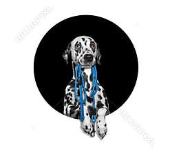 Dog in a circle with a lead and empty space for text