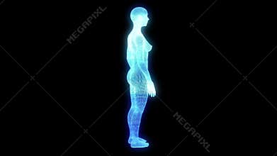 Female Human Wireframe Hologram in Motion. Nice 3D Rendering