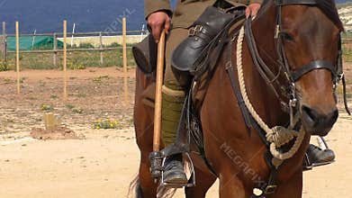 Lancer on horse close up