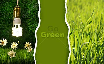 Green collection of eco-friendly photos