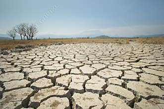Global warming issue, ground land are dry, drought conditions