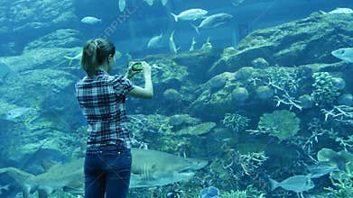 Woman takes pictures in a giant aquarium in Dubai