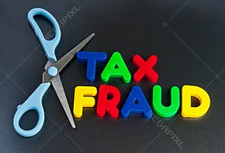 Cut out tax fraud
