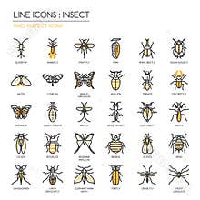 Insect , pixel perfect icon