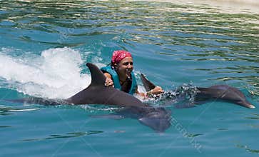 Swimming with the Dolphins