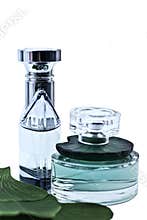 Bottles of perfume with the leaves
