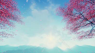 Cherry blossom petals falling from trees slow-mo