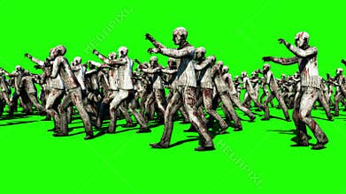 A large crowd of zombies. Apocalypse, halloween concept. 4K green screen animation.