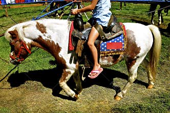 Girl rides a pony carousel