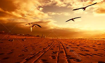 A beach in gold
