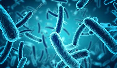 Blue bacteria