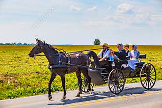 Amish Family in Black Wagon