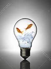 Fish in the bulb