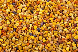 Bee Pollen texture