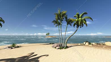 Coconut trees on a deserted island footage