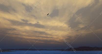 4k Eagles hovering over high sky,lake & mountain,Bright sun & cloud at dusk.