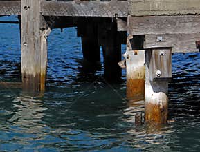 Harbor Jetty.
