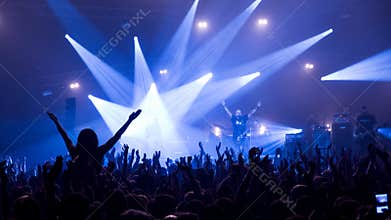 Crowd in front of the stage at the rock`n`roll gig