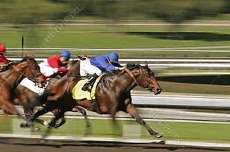 Abstract Motion Blur Horse Race