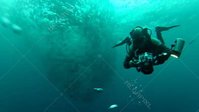 Person swimming among shoal of jack fish in tulemben in Bali, Indonesia