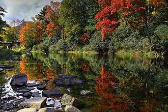 Autumn River Landscape