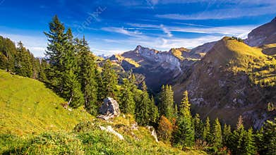 Forest in Swiss Alps from Klewenalp mountains, Central Switzerland