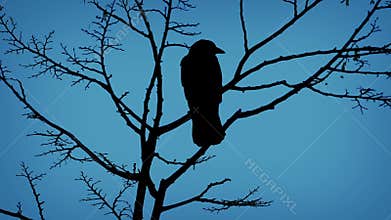 Birds On Branch And Flying Off In Evening