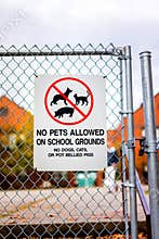 No pets allowed
