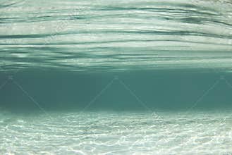 Crystal River Waterscape