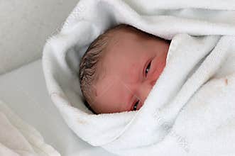 Newborn
